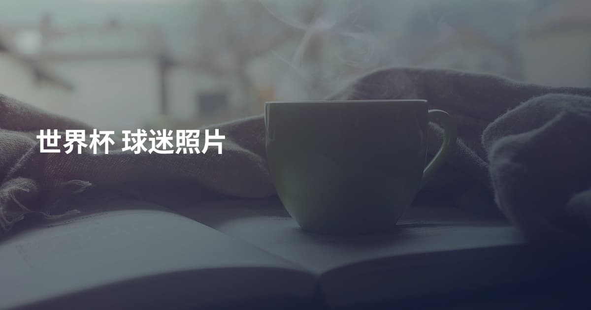 世界杯 球迷照片