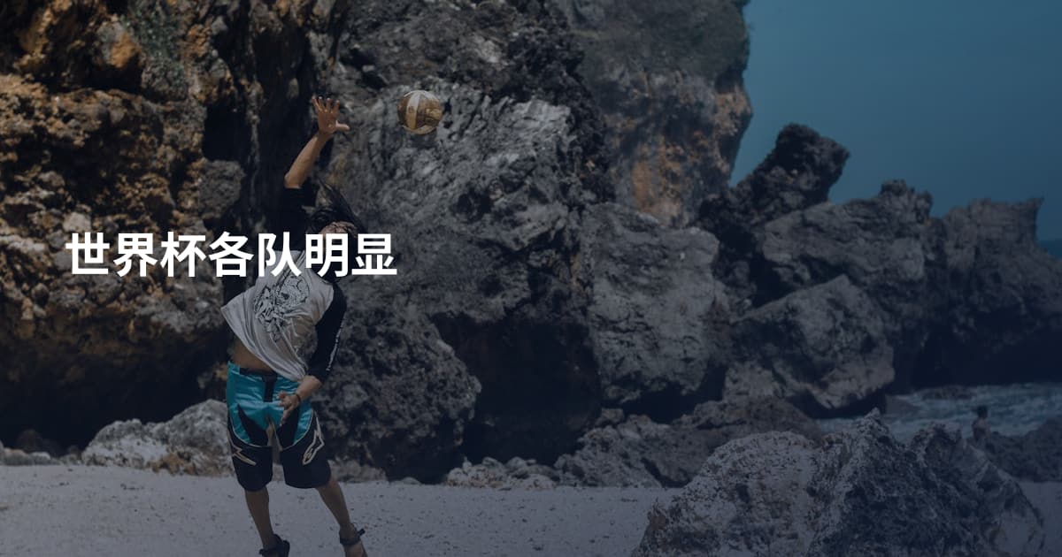 世界杯各队明显