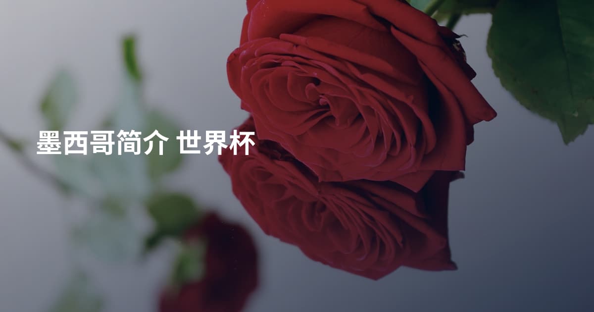 墨西哥简介 世界杯