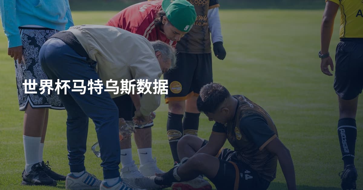 世界杯马特乌斯数据