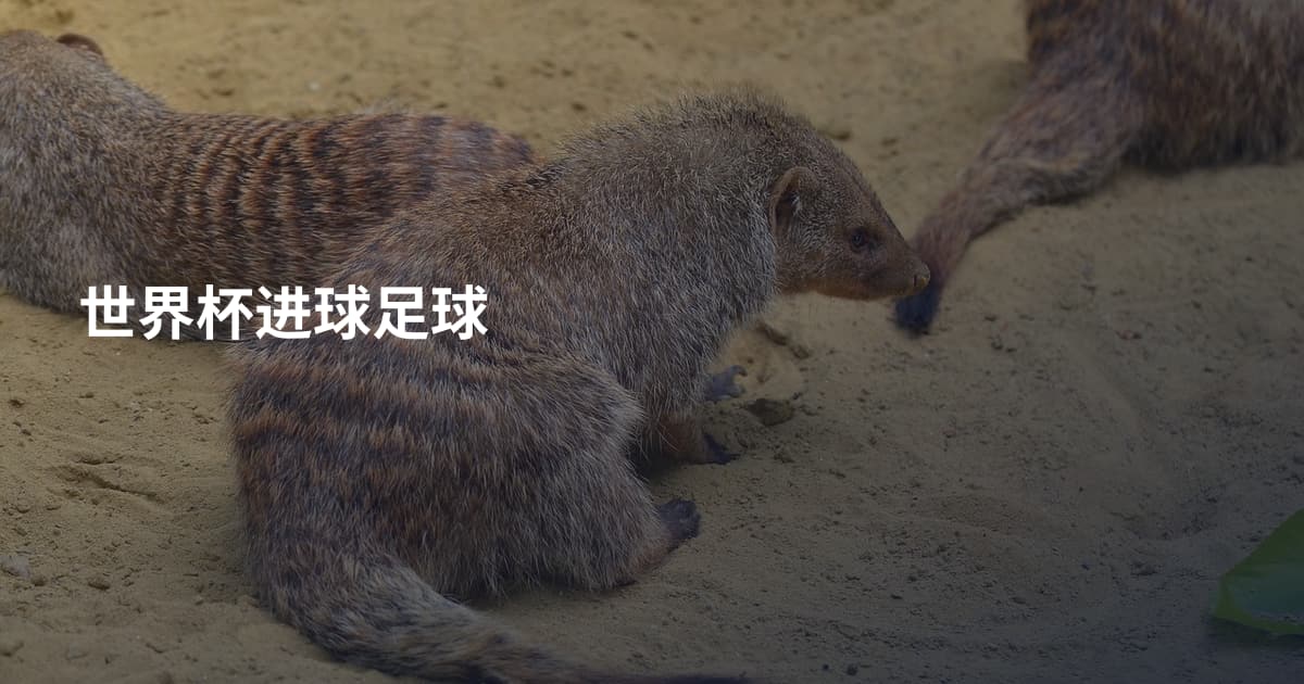 世界杯进球足球