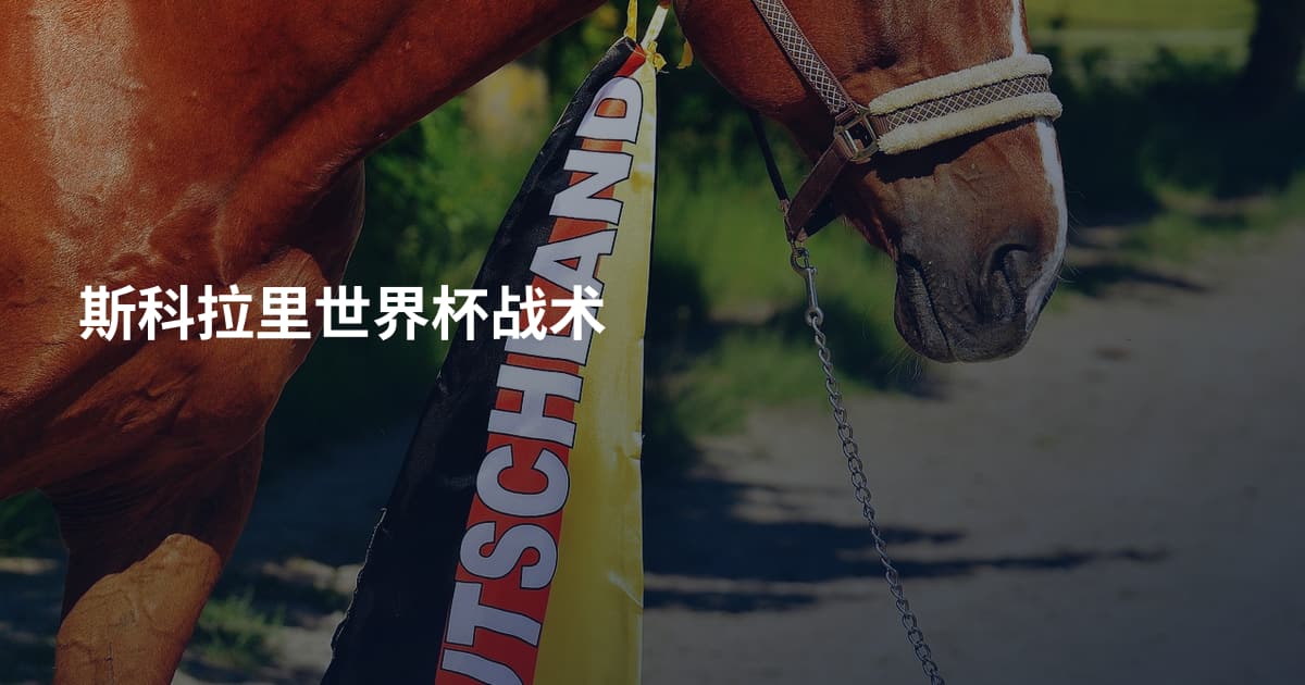 斯科拉里世界杯战术