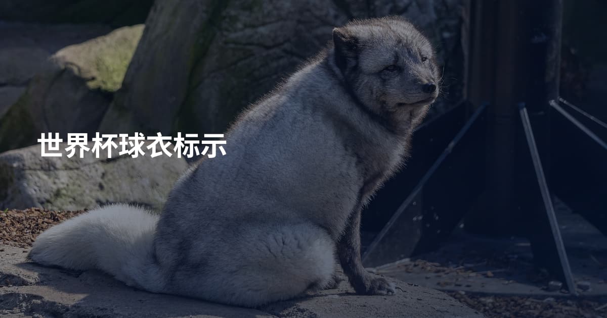 世界杯球衣标示