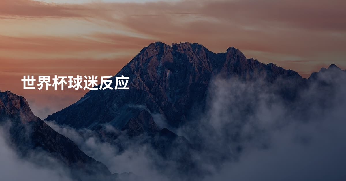 世界杯球迷反应