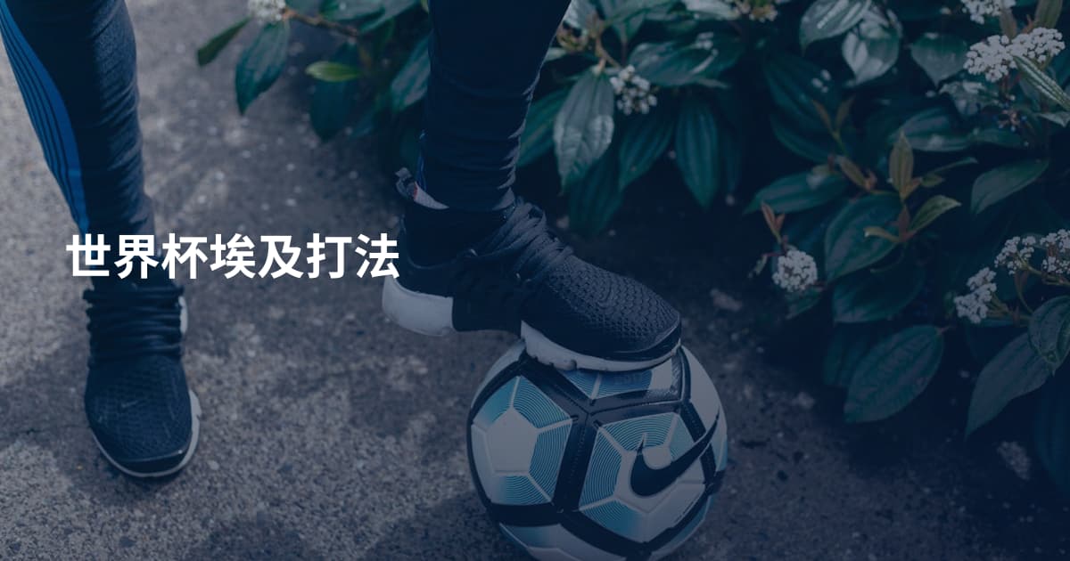 世界杯埃及打法