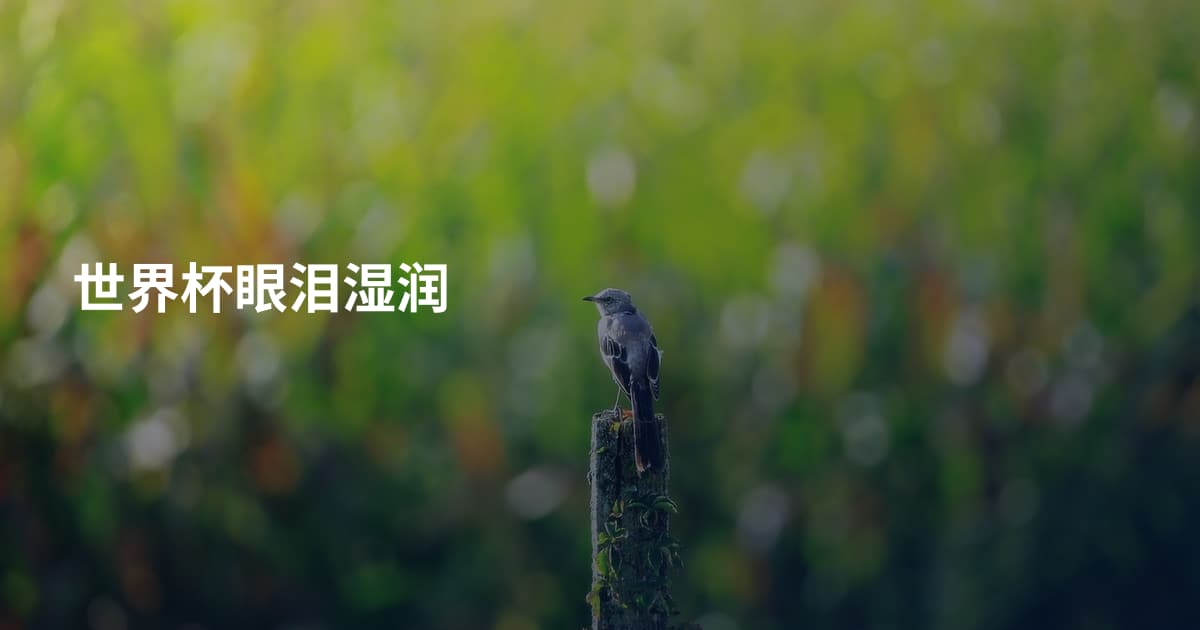 世界杯眼泪湿润