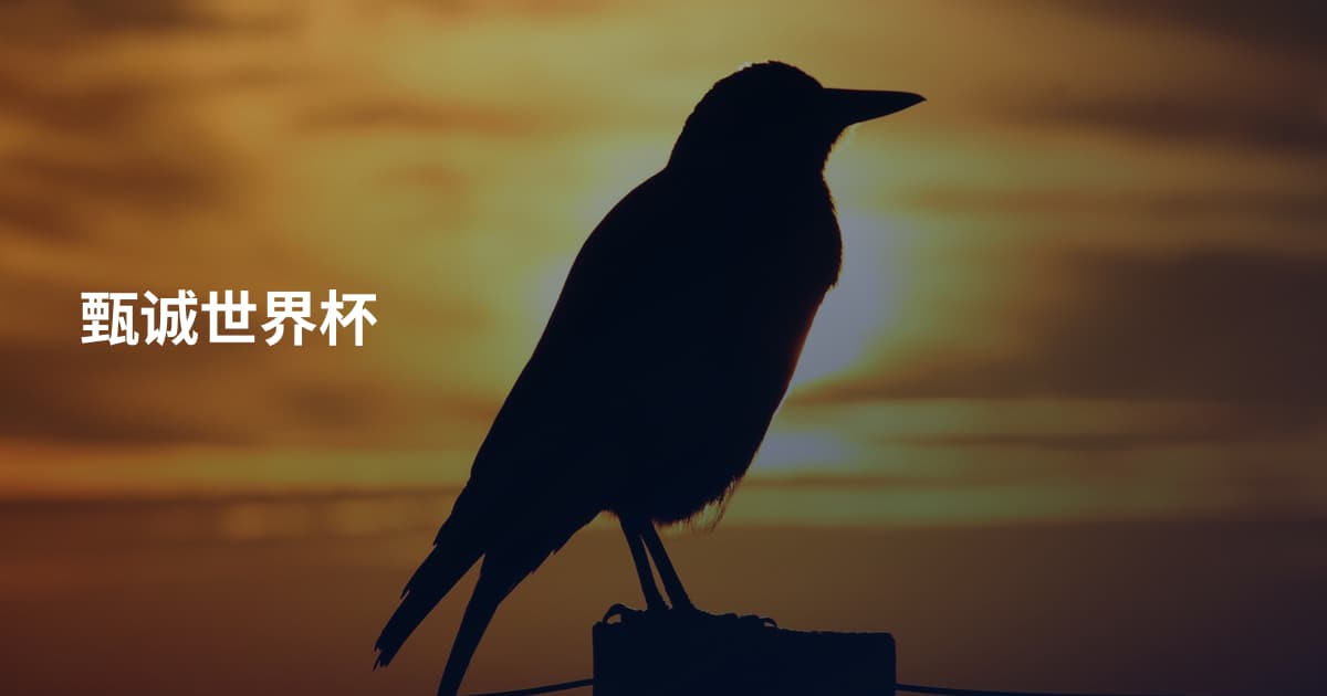 甄诚世界杯