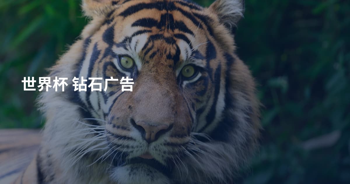 世界杯 钻石广告