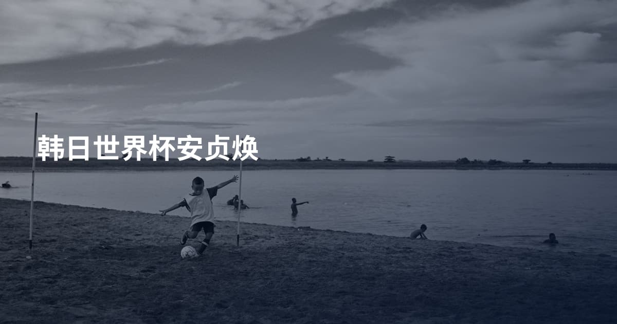 韩日世界杯安贞焕