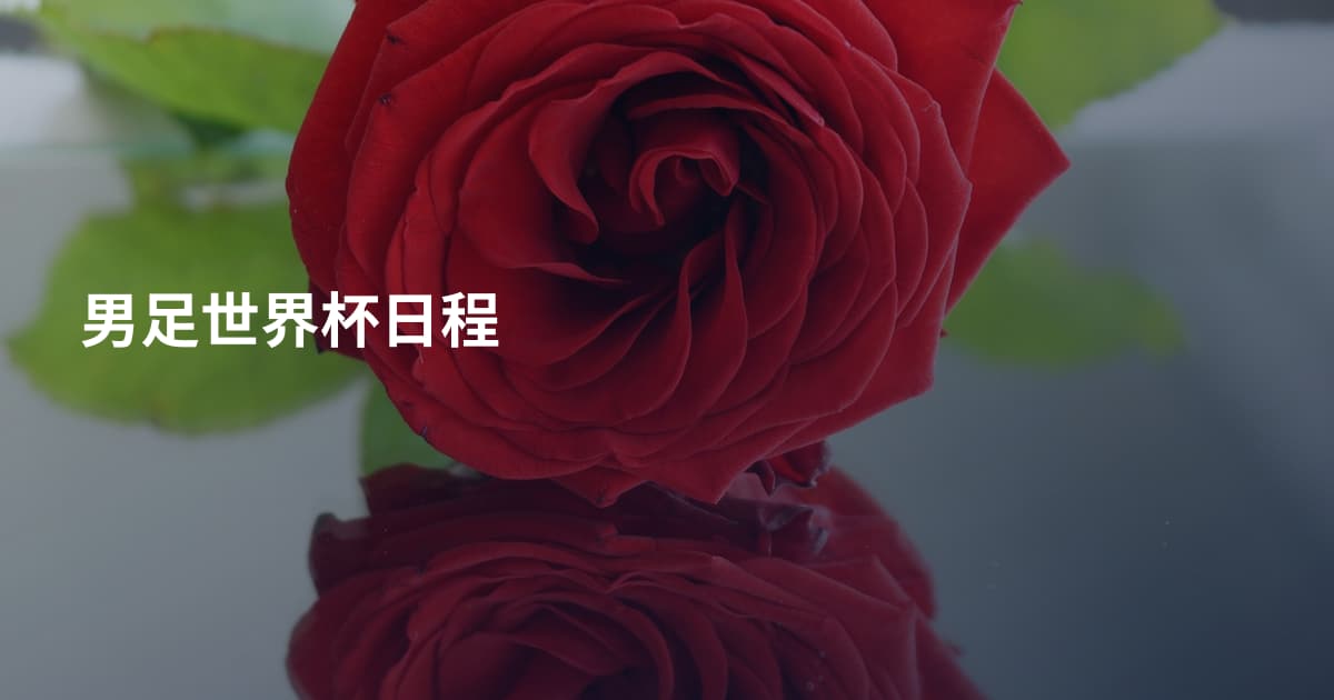 男足世界杯日程
