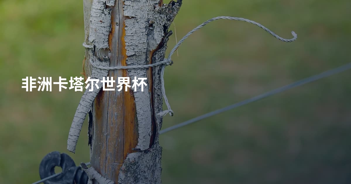 非洲卡塔尔世界杯