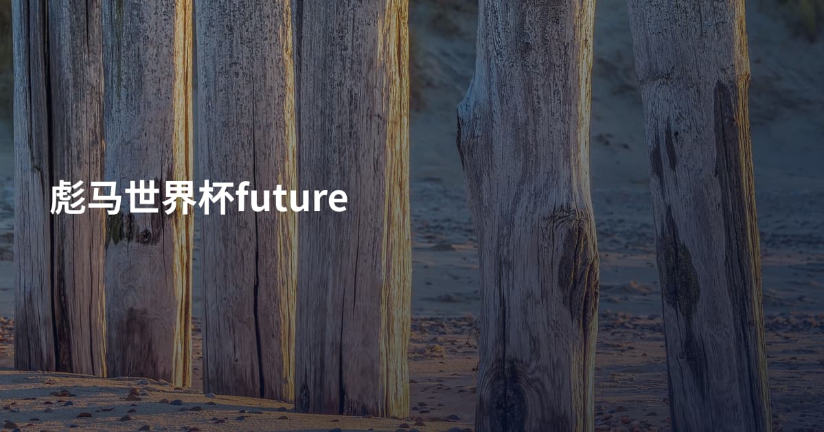 彪马世界杯future