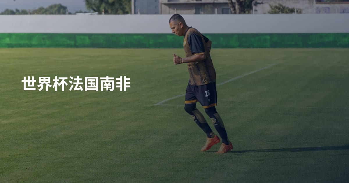 世界杯法国南非