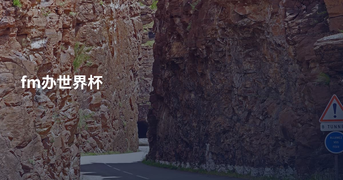 fm办世界杯