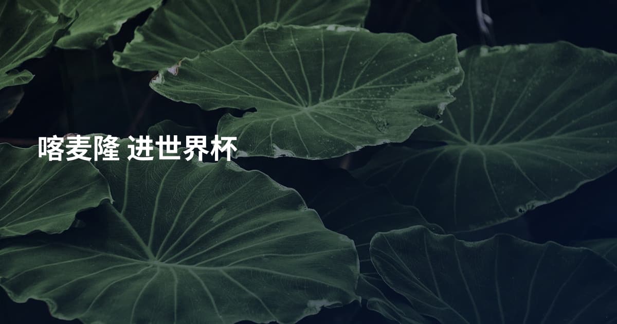 喀麦隆 进世界杯