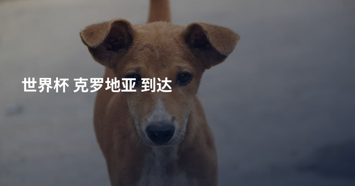 世界杯 克罗地亚 到达