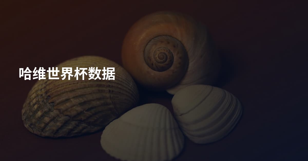 哈维世界杯数据