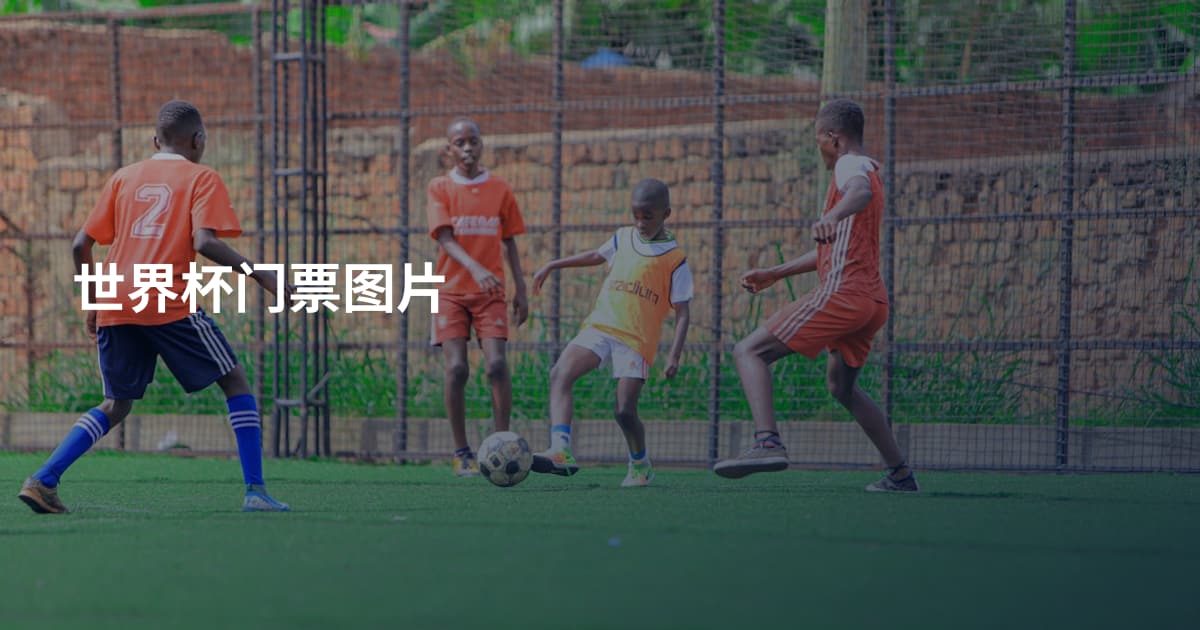 世界杯门票图片