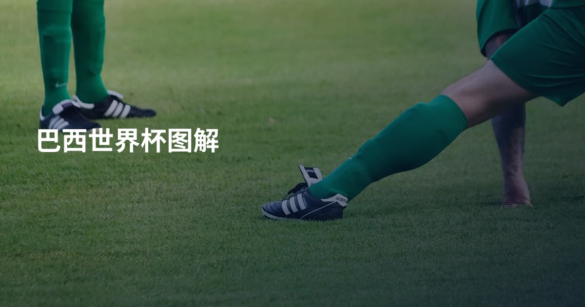 巴西世界杯图解