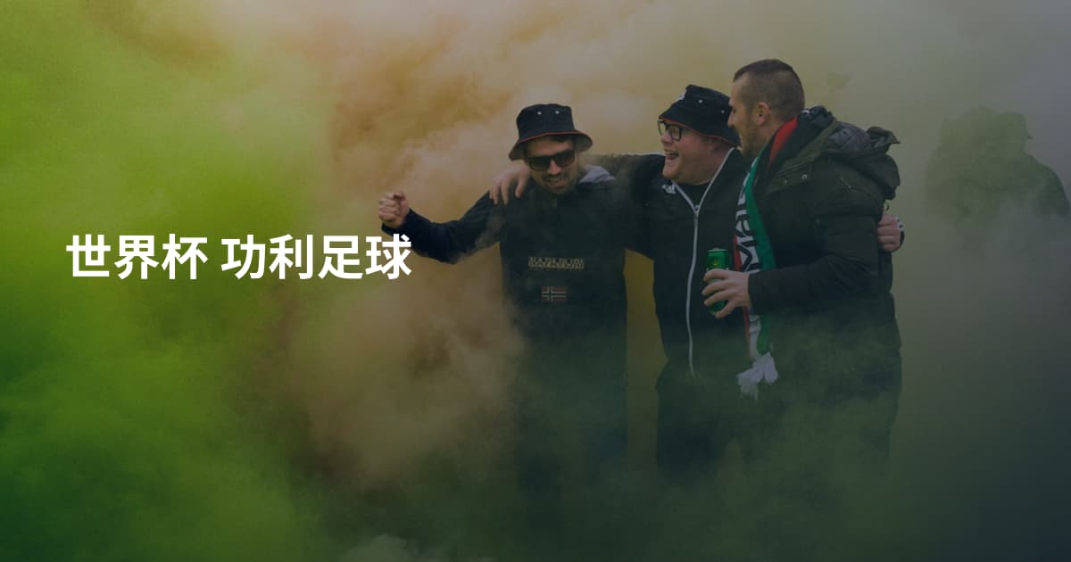 世界杯 功利足球