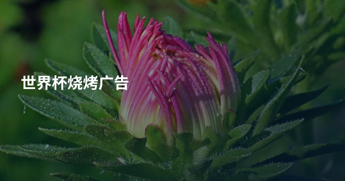 世界杯烧烤广告