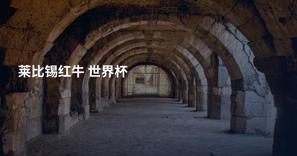 莱比锡红牛 世界杯
