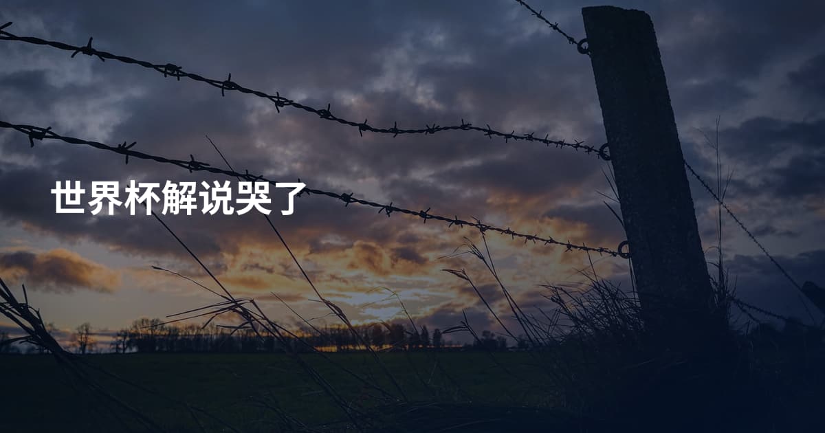 世界杯解说哭了