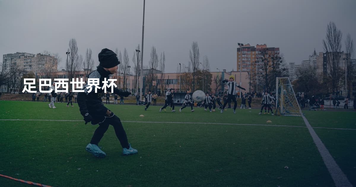 足巴西世界杯