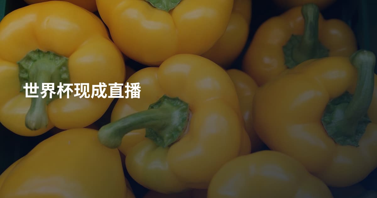世界杯现成直播