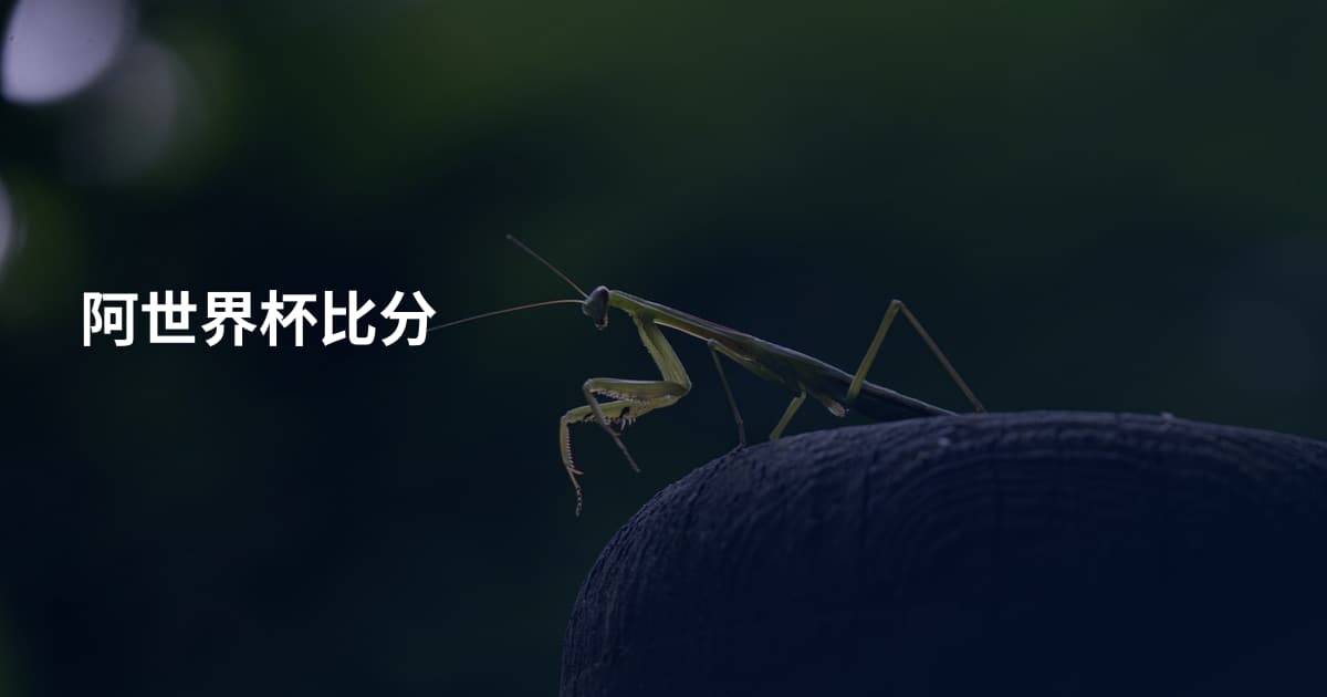 阿世界杯比分