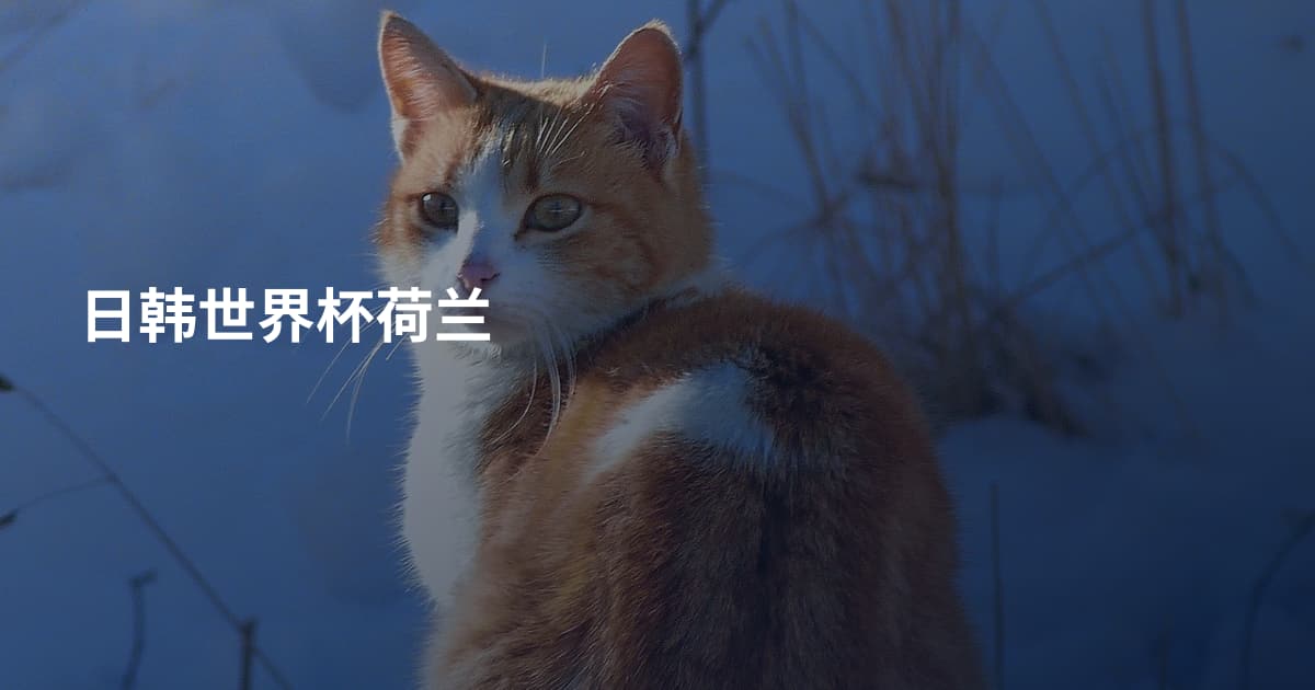 日韩世界杯荷兰