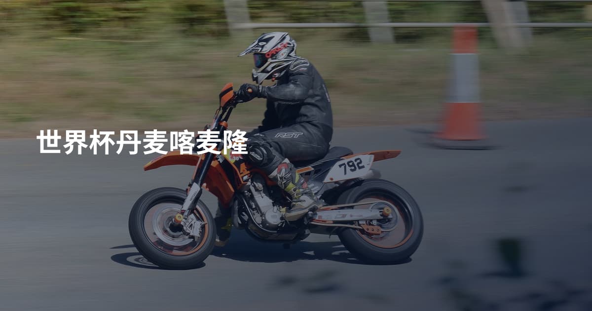 世界杯丹麦喀麦隆
