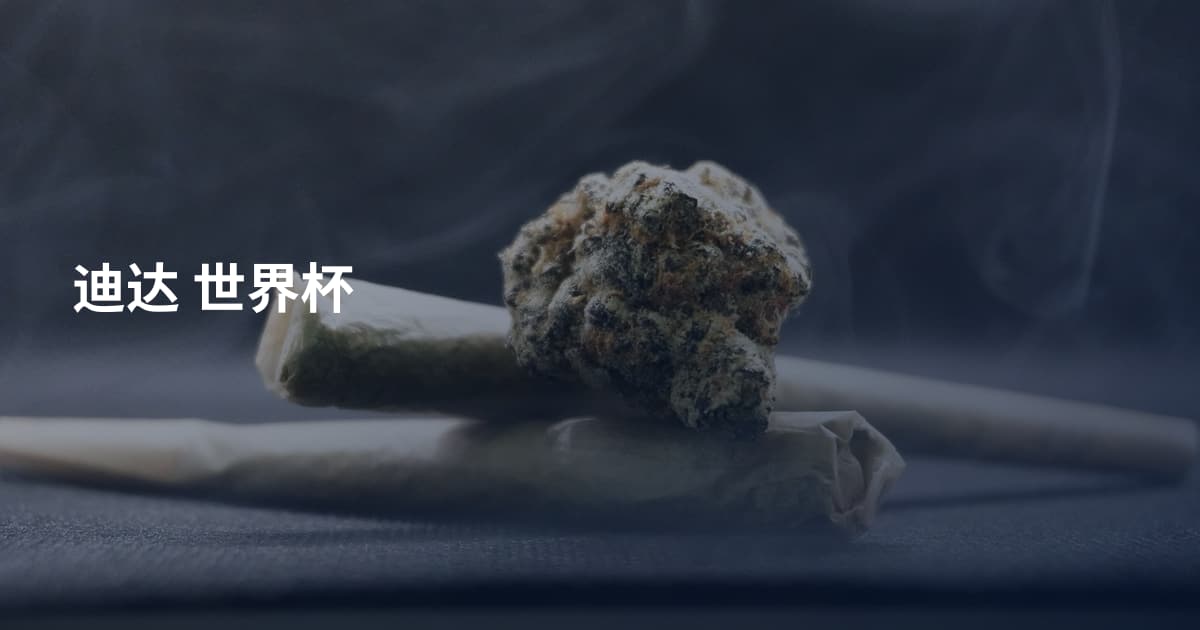 迪达 世界杯