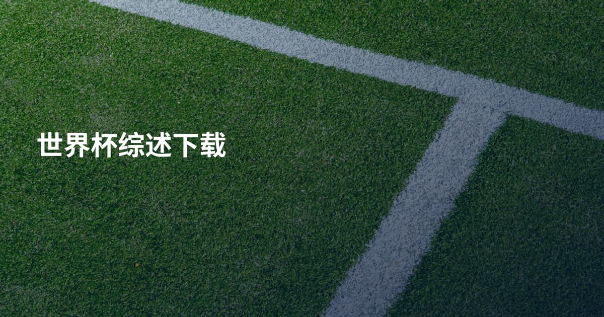 世界杯综述下载
