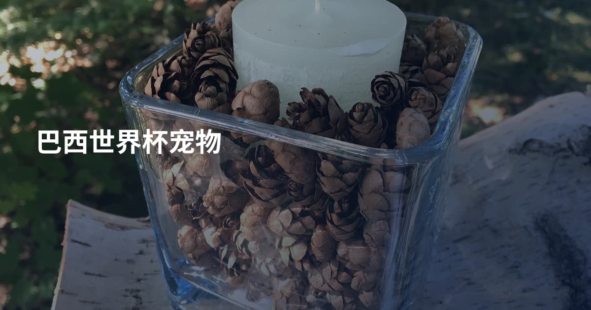 巴西世界杯宠物