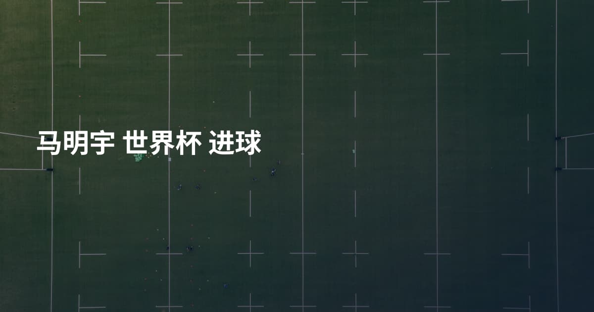 马明宇 世界杯 进球