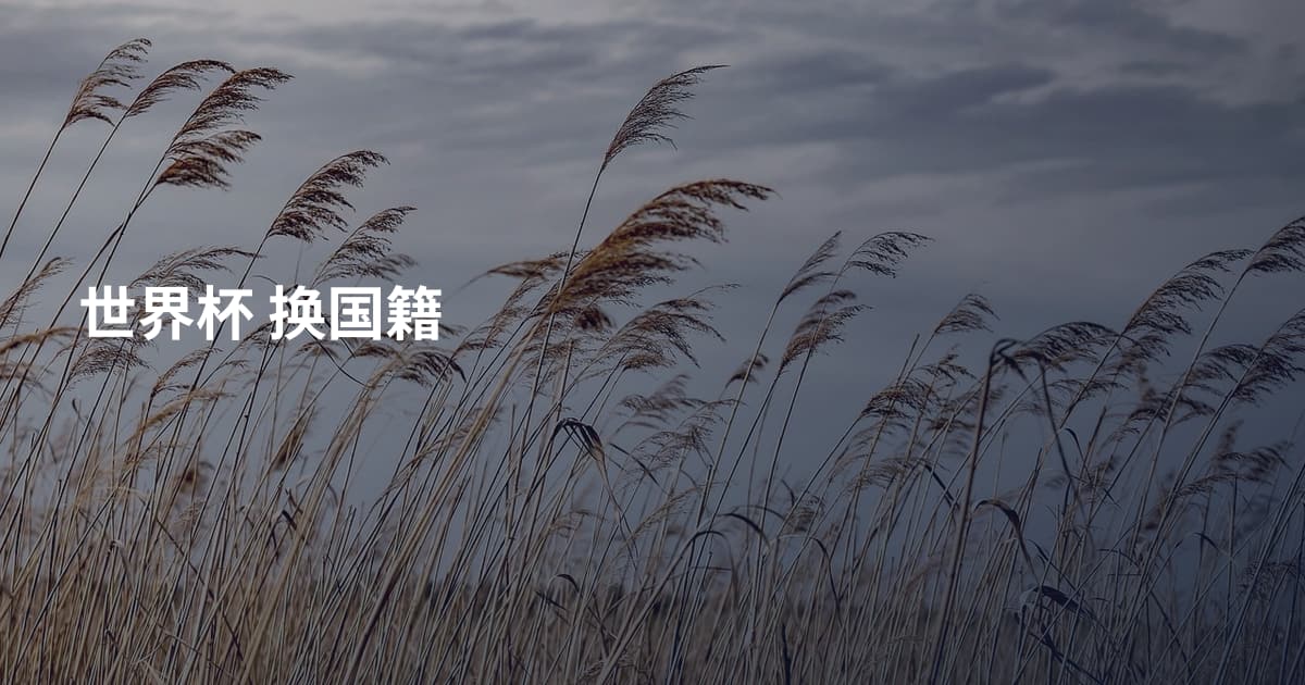世界杯 换国籍