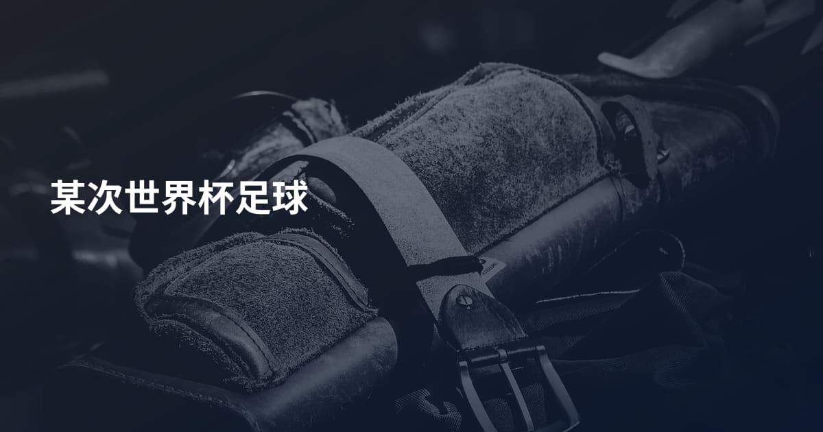 某次世界杯足球