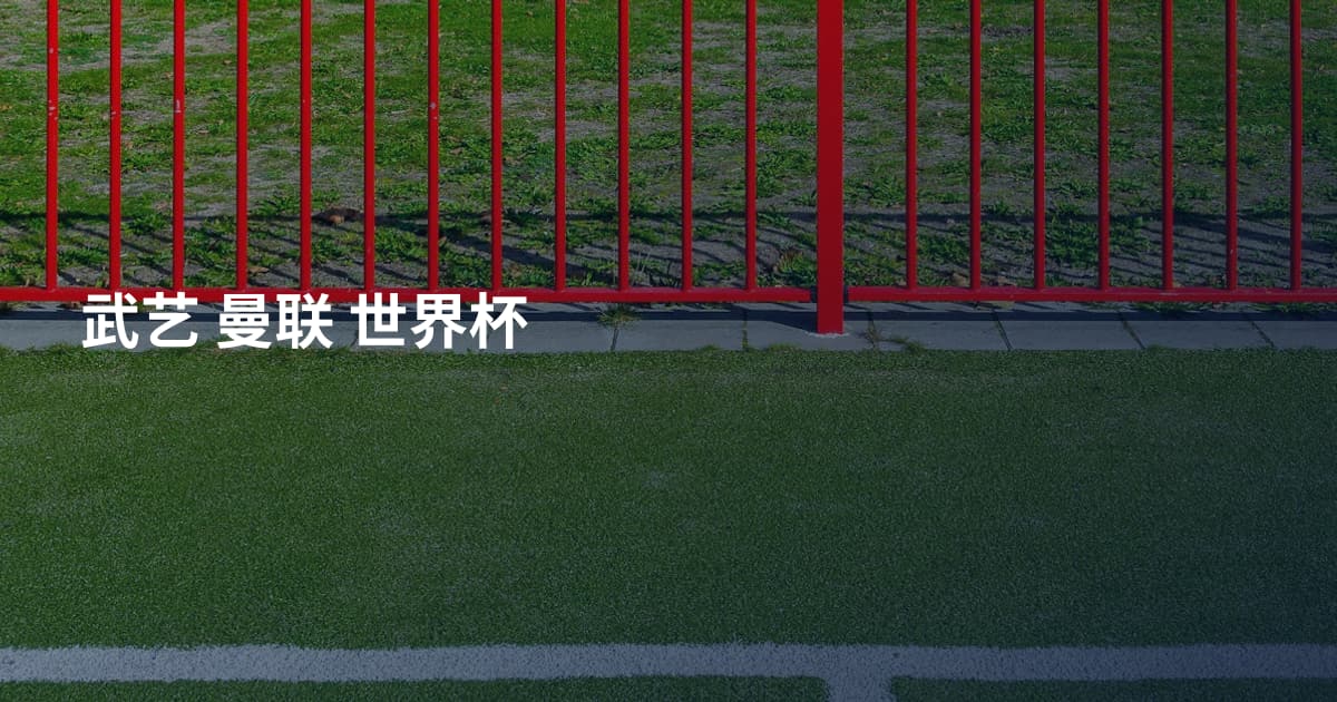 武艺 曼联 世界杯