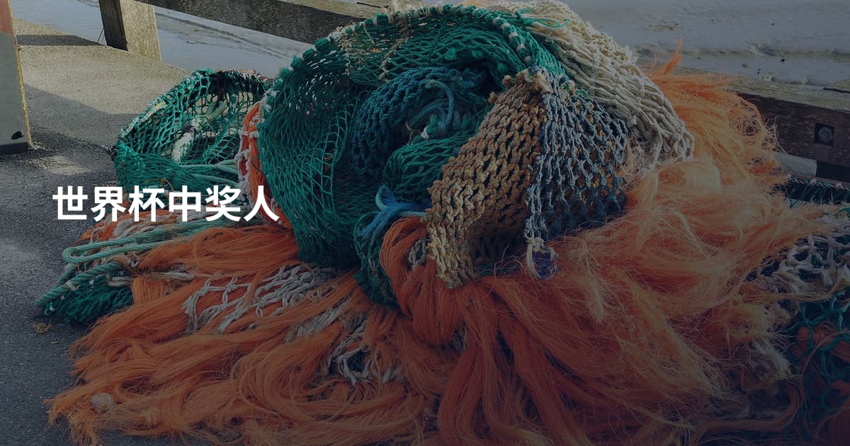 世界杯中奖人