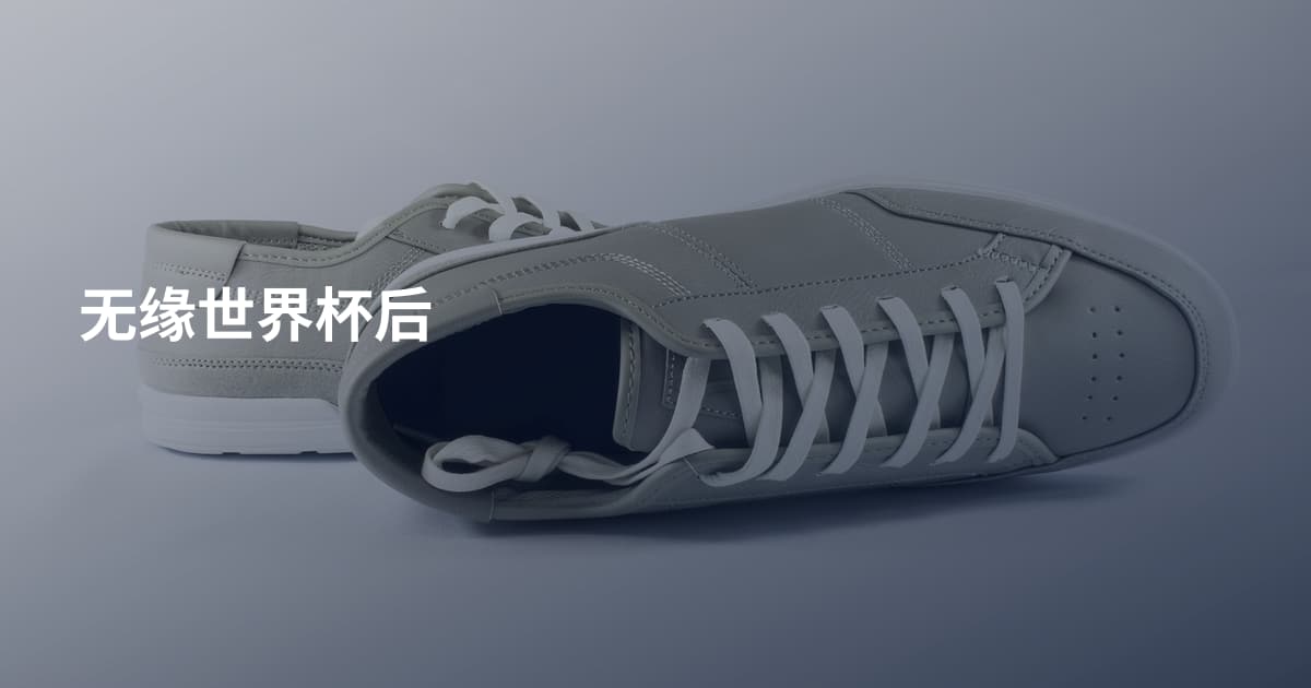 无缘世界杯后