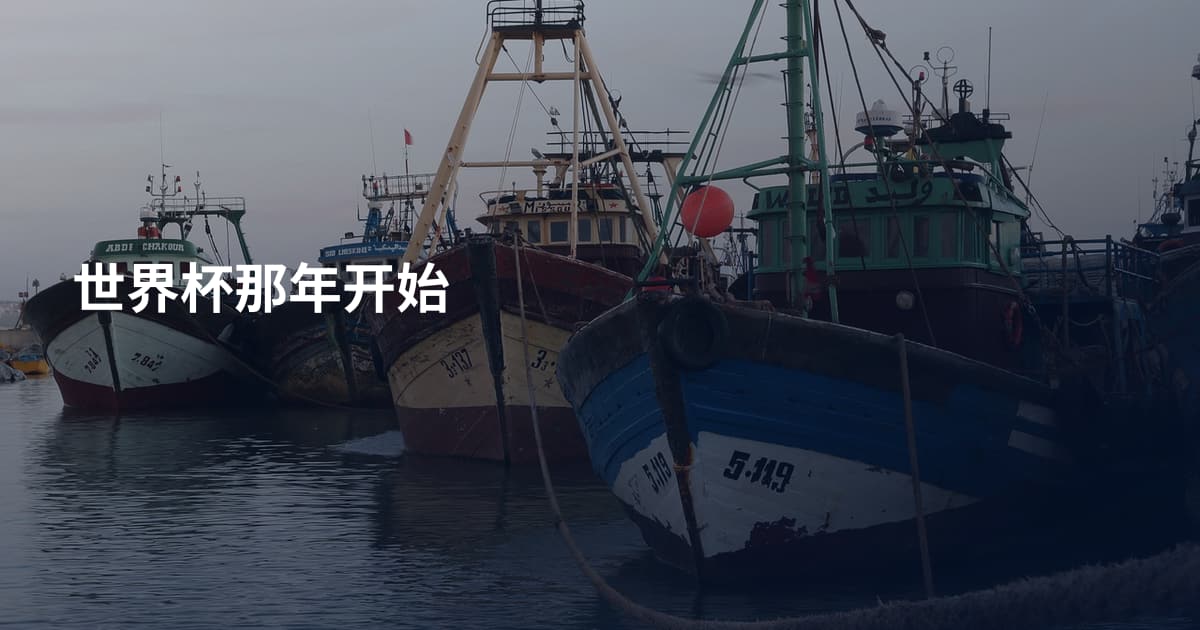 世界杯那年开始