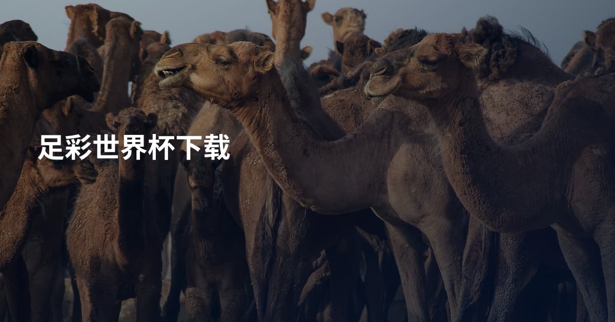 足彩世界杯下载