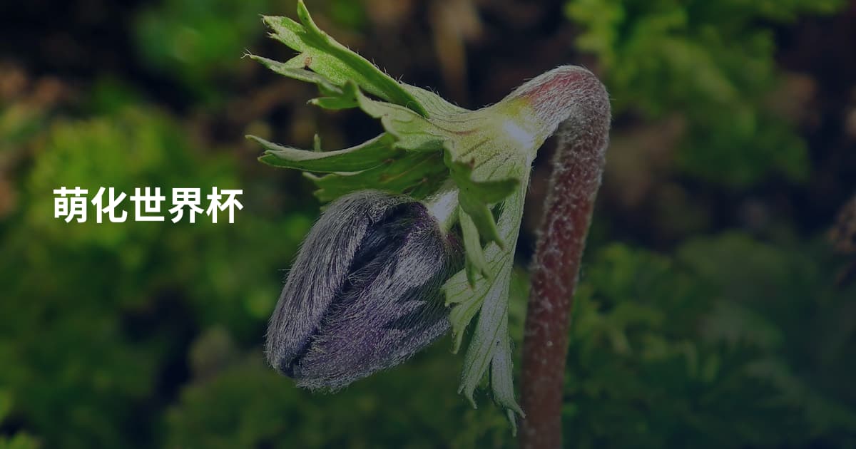 萌化世界杯