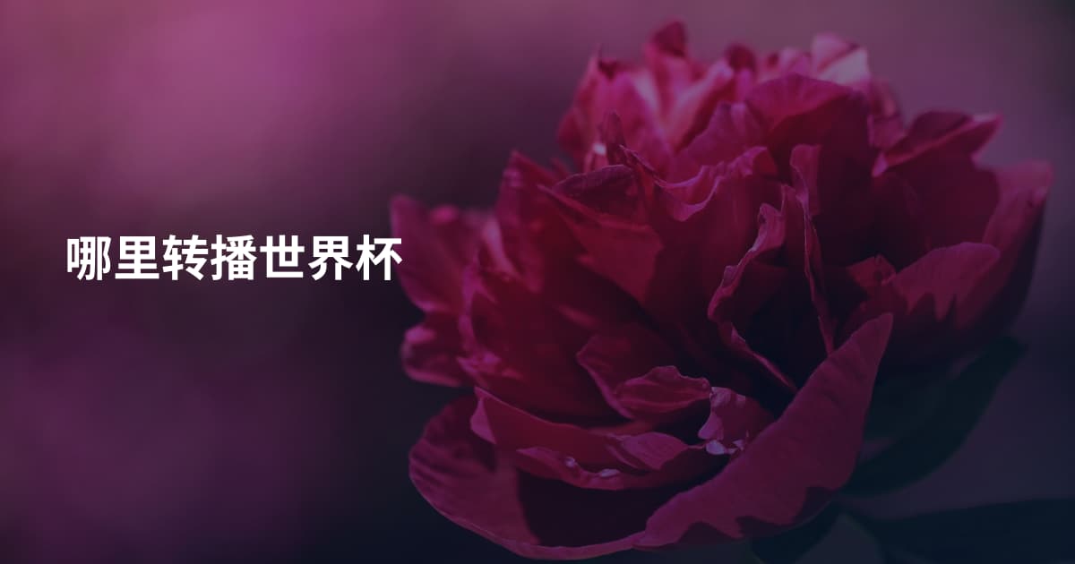 哪里转播世界杯