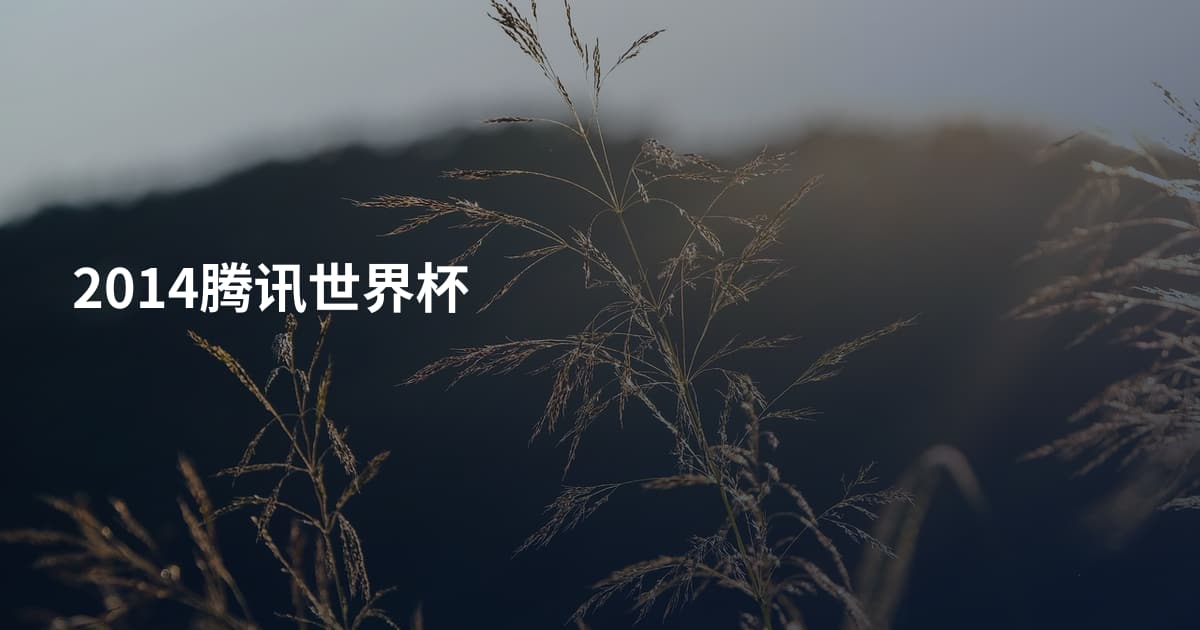 2014腾讯世界杯