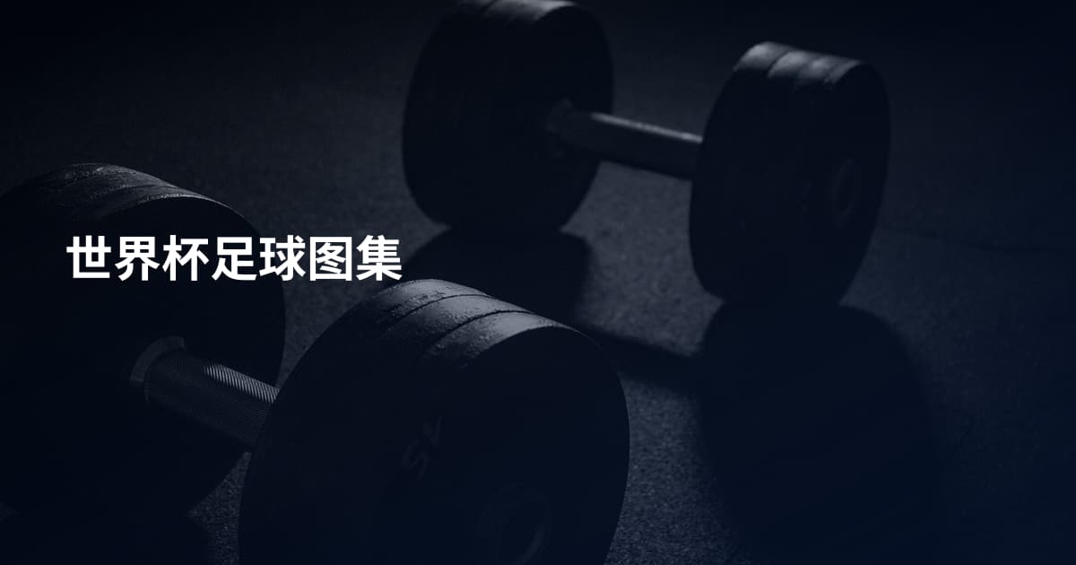 世界杯足球图集
