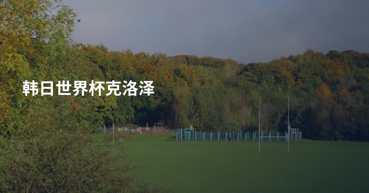 韩日世界杯克洛泽
