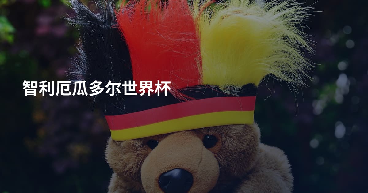 智利厄瓜多尔世界杯
