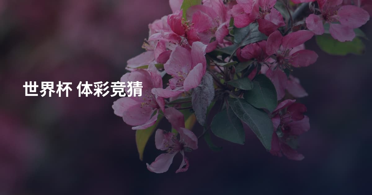 世界杯 体彩竞猜